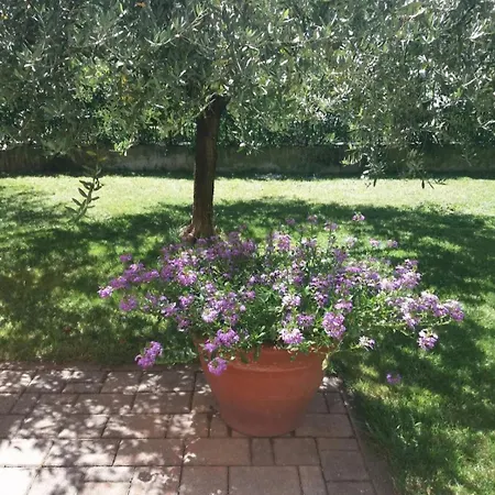 I Quattro Ulivi - Iseo *