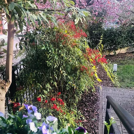 I Quattro Ulivi - Iseo Apartment