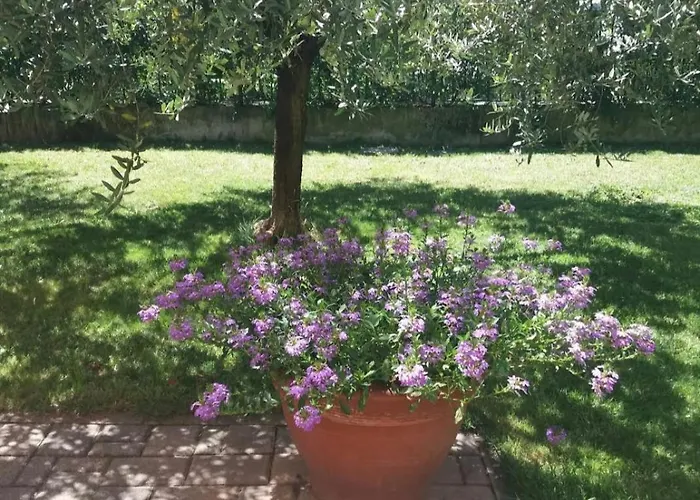 I Quattro Ulivi - Iseo *
